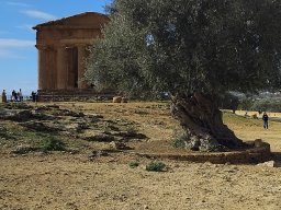 Agrigento