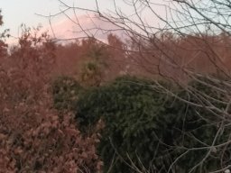 De Catania à Taormina